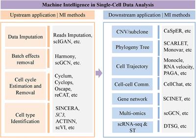 Machine Intelligence in Single-Cell Data Analysis: Advances and New Challenges